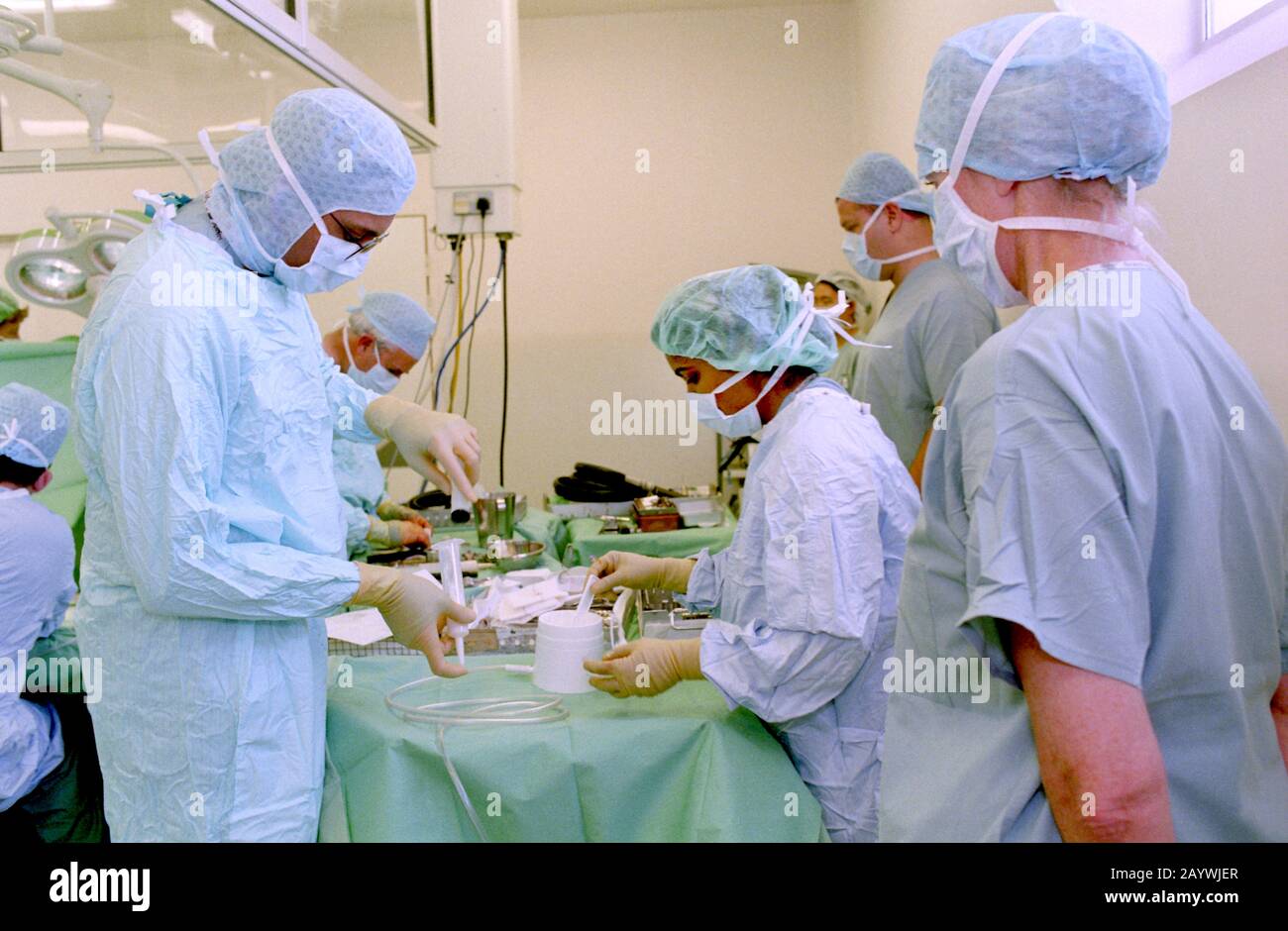 hospital theatre staff preparing cement prior to repairing a fracture Stock Photo