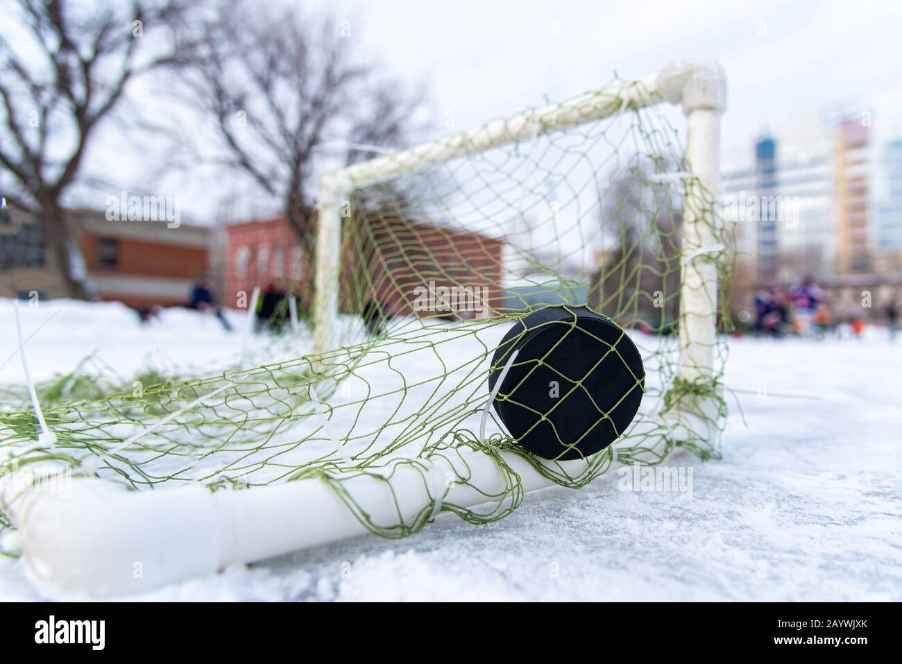 Hockey puck in goal at the stadium Stock Photo Alamy