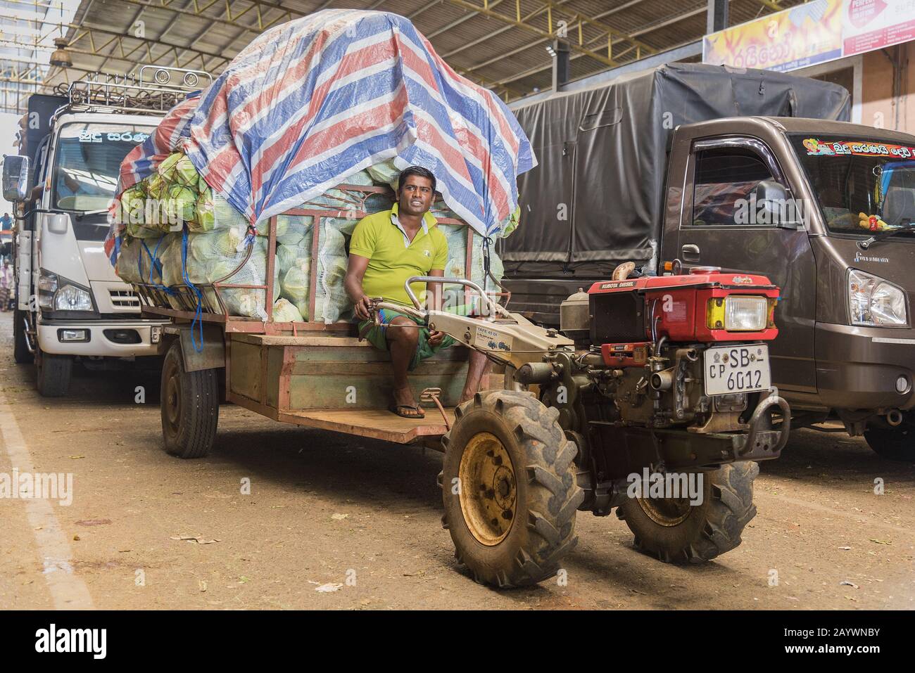 Dambulla, Sri Lanka 18/03/2019 Largest fruit and vegetable market in
