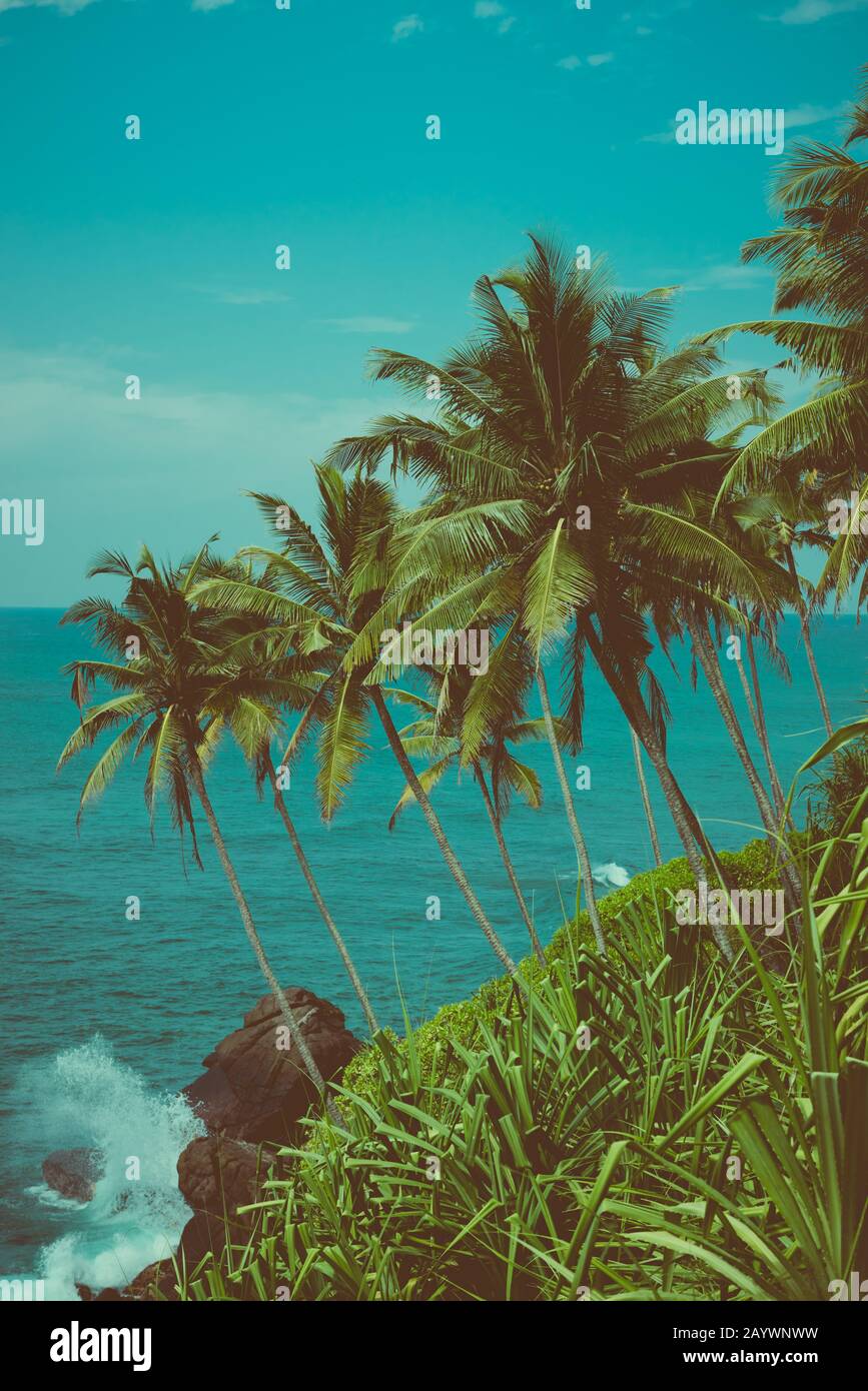 Tropical coast with coconut palm trees over the ocean vintage color ...