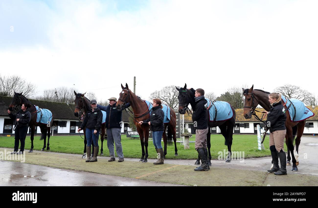 Nicky Henderson (centre) shows his Unibet Champion hurdle entries (left to right) Fusil Raffles, Epatante, Verdana Blue, Call Me Lord and Pentland Hills during a visit to Nicky Henderson's yard at Seven Barrows, Lambourn. Stock Photo