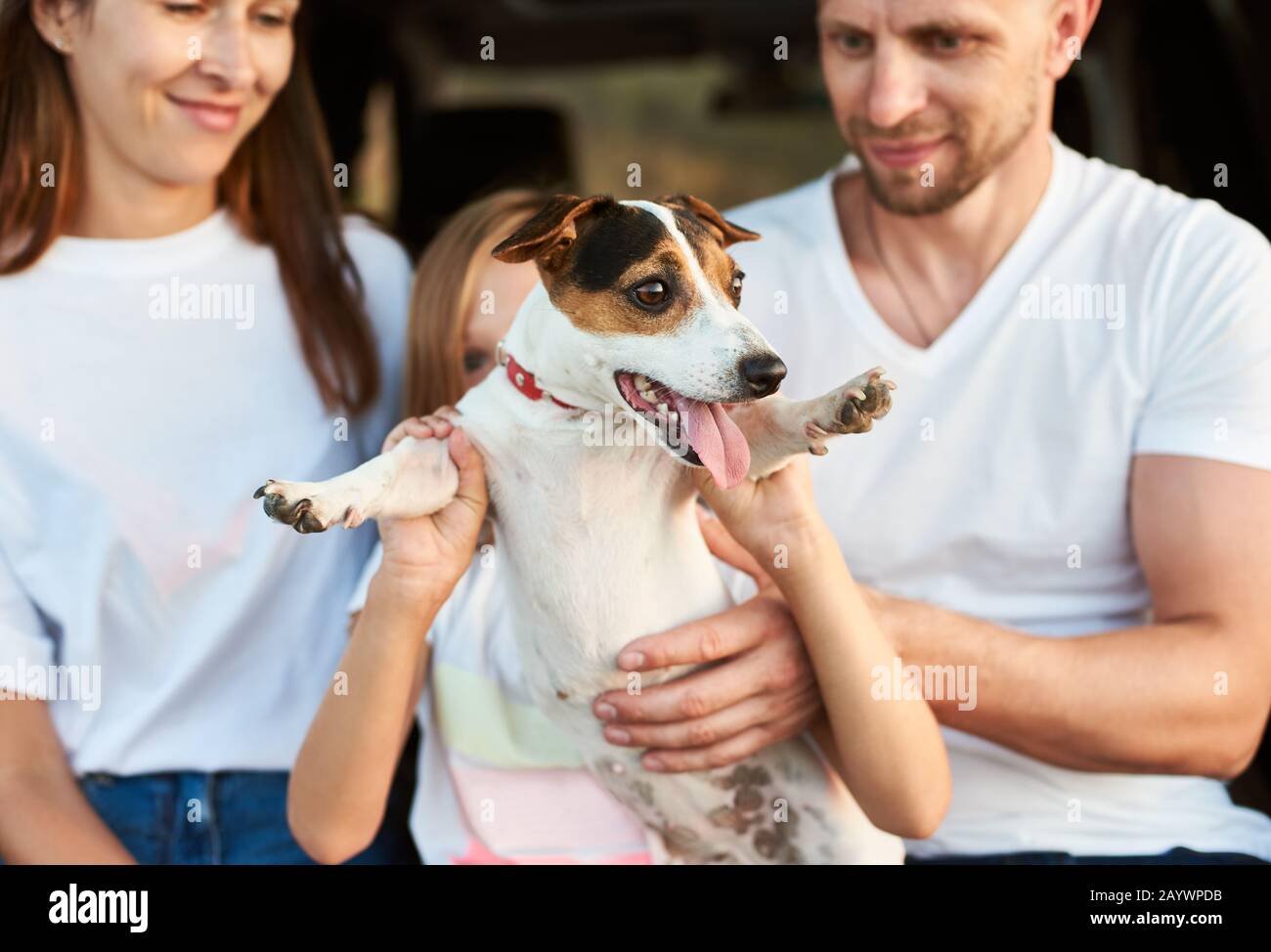 Close-up shot focused on jack russell terrier held by paws a girl, father and mothers are smiling on the background, white family look Stock Photo