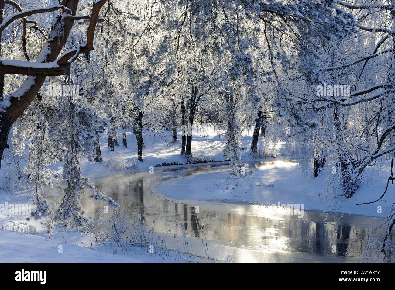 Frosty trees in backlight along a small river, Vingakersan, Sormland, Sweden Stock Photo