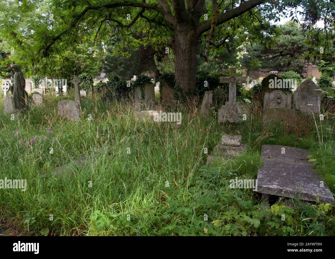 Brompton Cemetery, Fulham Road, London, England, location of graves of Emmeline Pankhurst, Fanny Brawne, Richard Tauber, John Wisden, and Brian Glover Stock Photo
