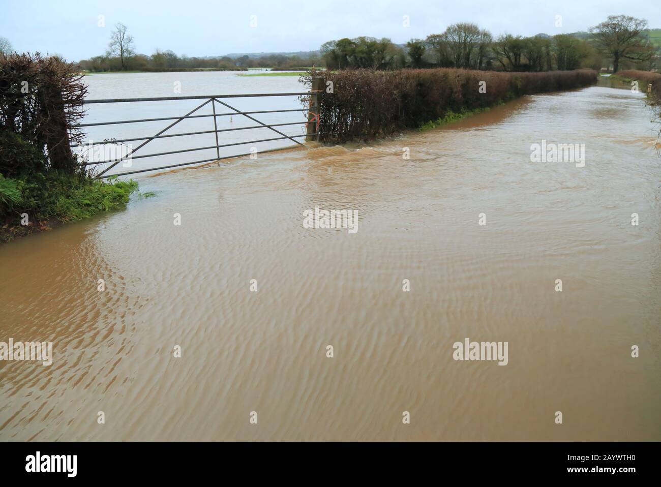 Flooded road between Whitford and Musbury in Axe Valley, East Devon, UK during the storm Dennis. Stock Photo