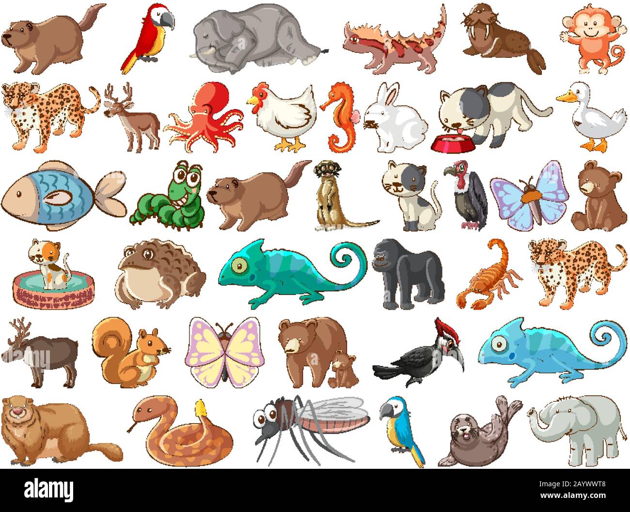 Types of animals hi-res stock photography and images - Alamy