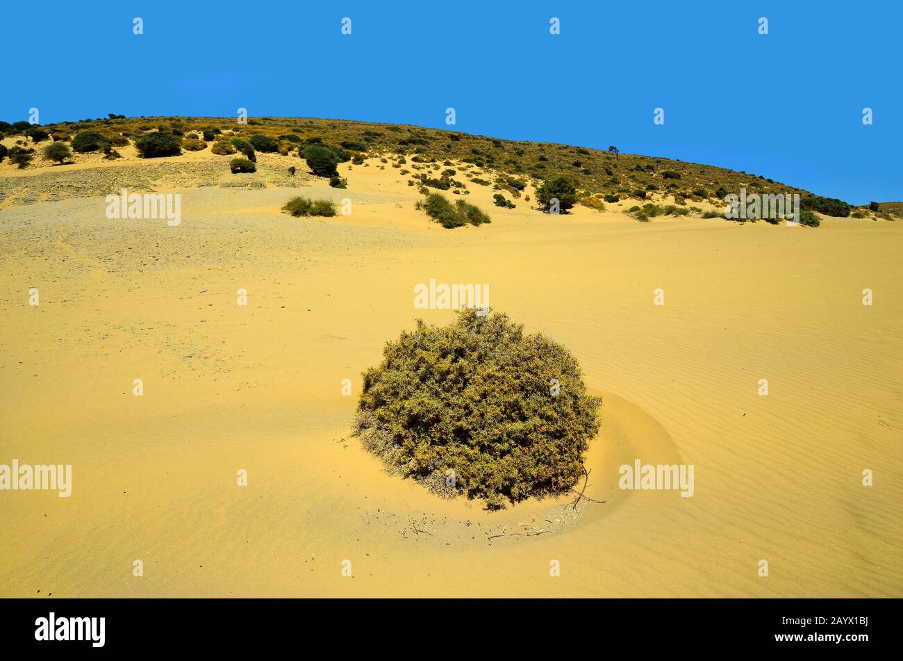 Greece, landscape and vegetation in Little Sahara aka Pachies Ammoudies on Lemnos island Stock Photo