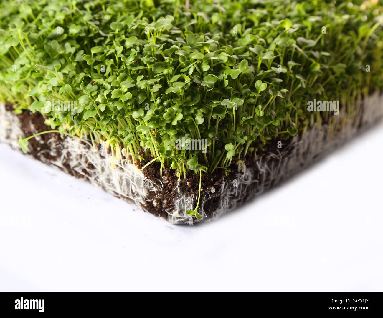 Many minerals hi-res stock photography and images - Alamy