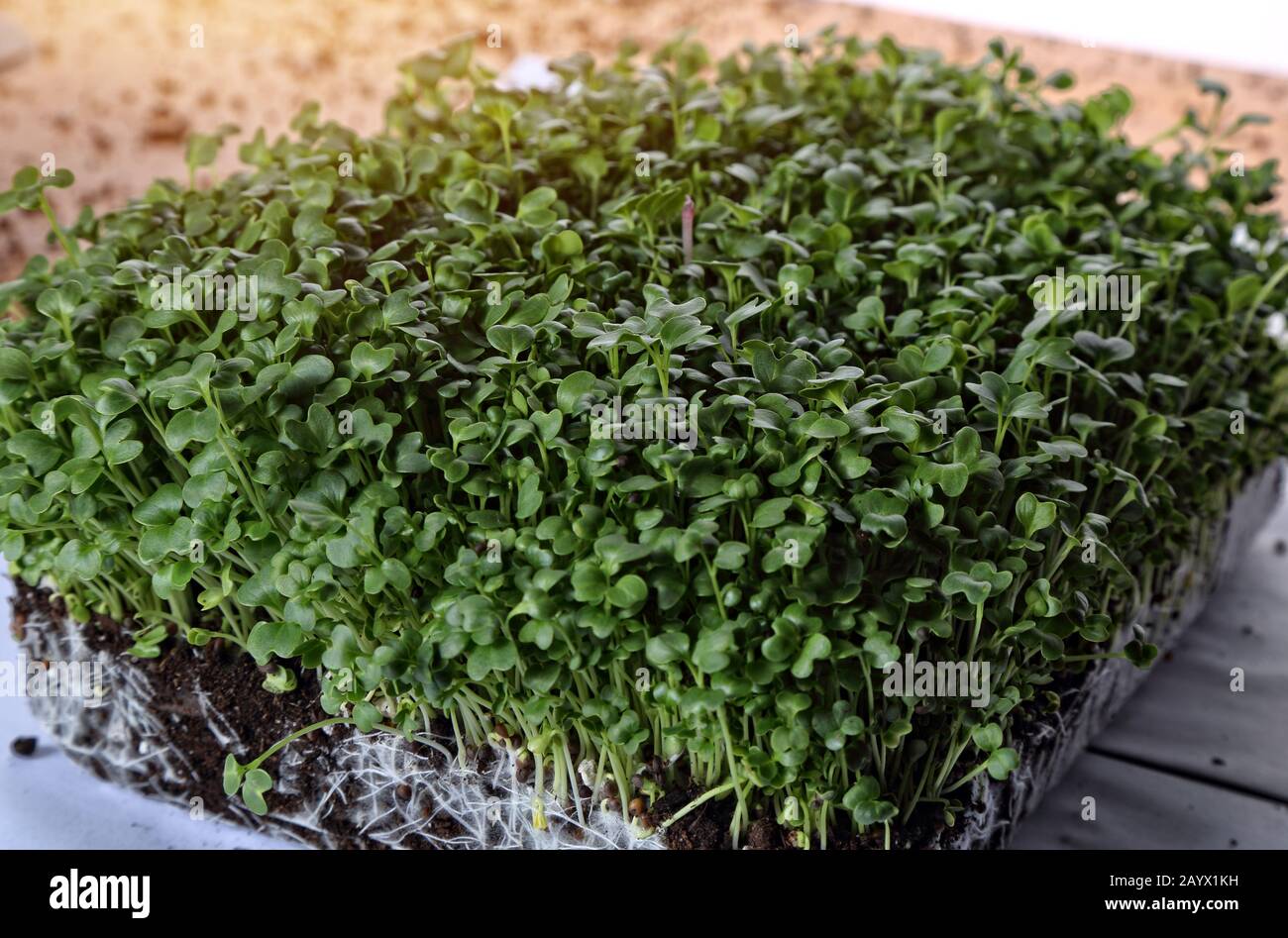 Many minerals hi-res stock photography and images - Alamy