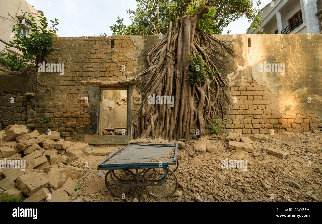 Ruins of an old building wall, overgrown with the roots and branches of a tree, an abandoned food cart in the foreground. Stock Photo