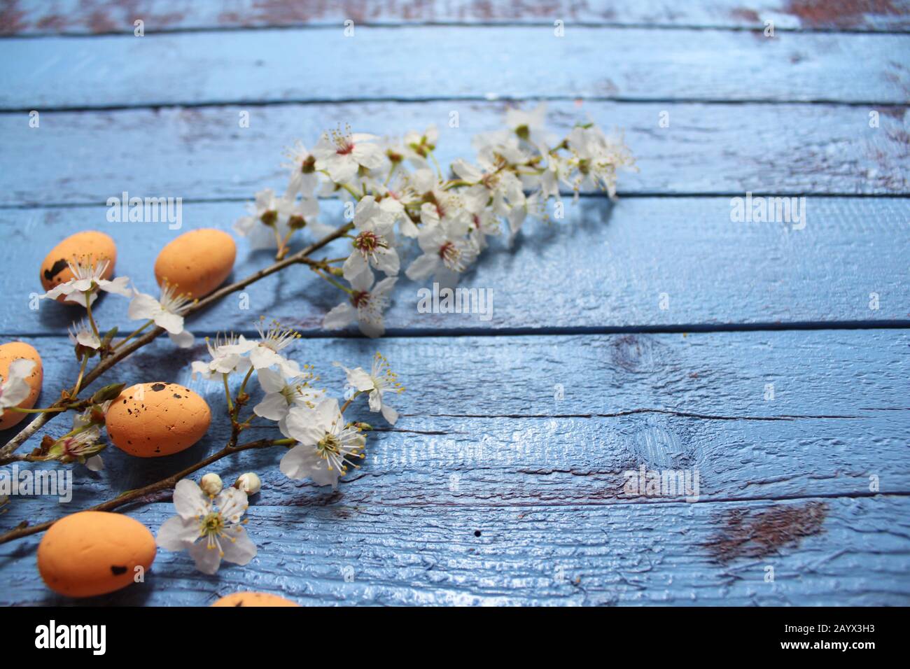 The picture shows happy easter greetings with eastereggs and spring
