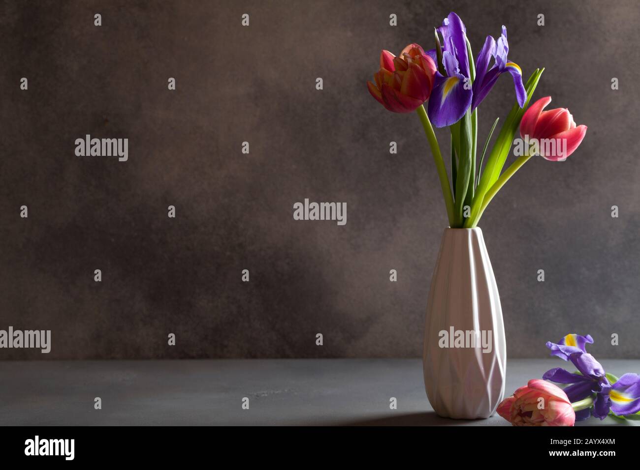 red tulips and purple irises in white vase on gray background. Still ...