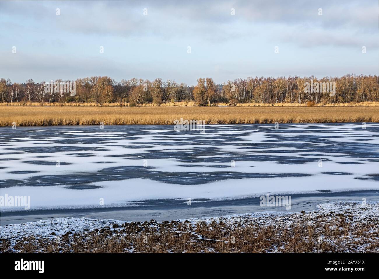 The Trave in winter. It is a 124 km long river in Schleswig-Holstein that flows into the Baltic Sea. Stock Photo