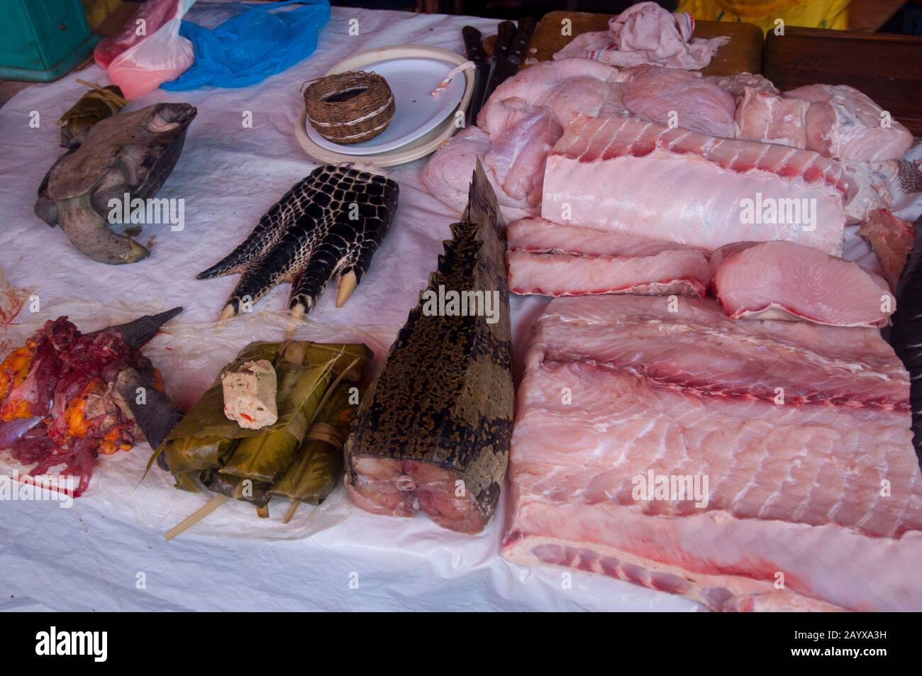 Caiman and turtle meat for sale on the market in in Belem, Iquitos, a