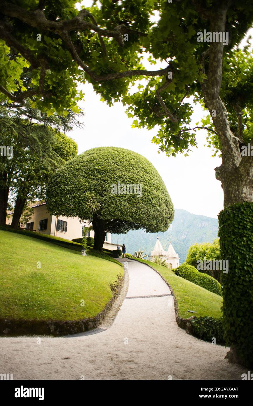 Path and Tree in the Villa Balbianello Garden Along the Shore of Lake