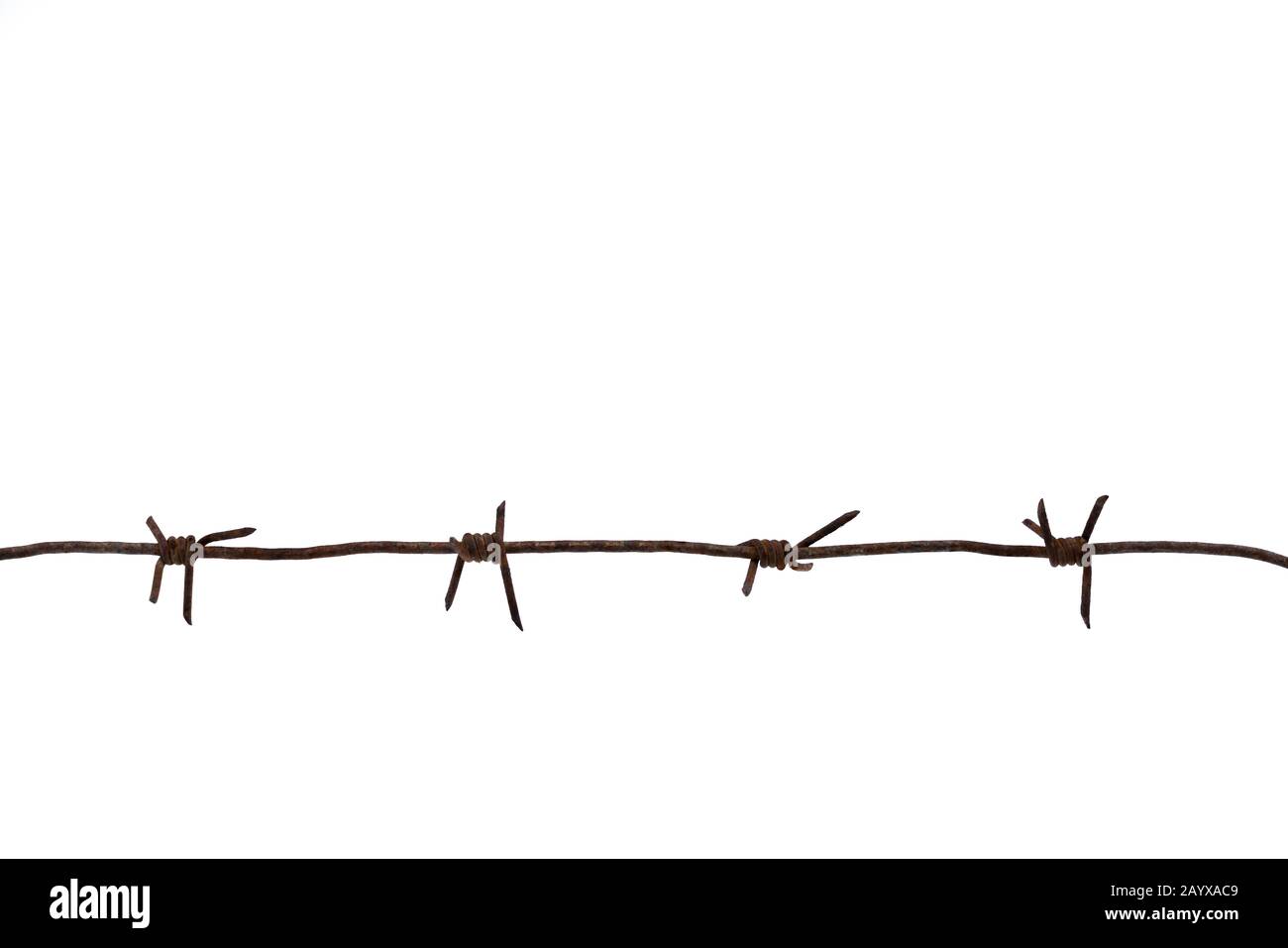 Old rusty metal barbed wire of times of the second world war isolated on white background Stock Photo