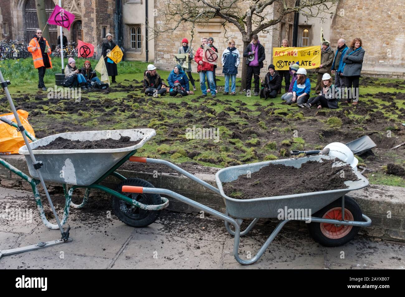 Cambridge, UK. 17th February 2020.  Extinction Rebellion protesters dig up Trinity College lawn as part of protests over ties between colleges and fossil fuel industry. Cam News/Alamy Live News Stock Photo