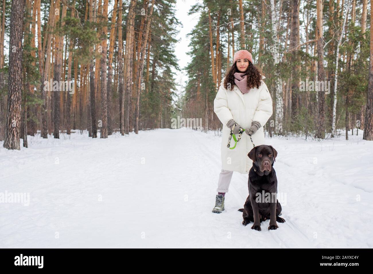 Horizontal shot of stylish young woman in warm winter outfit standing on urban forest road with chocolate labrador retriever Stock Photo