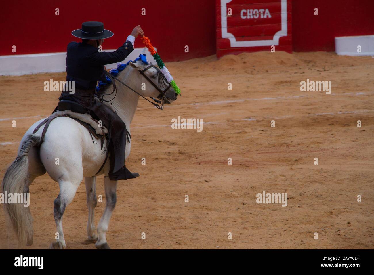 Bullfighting Stock Photo