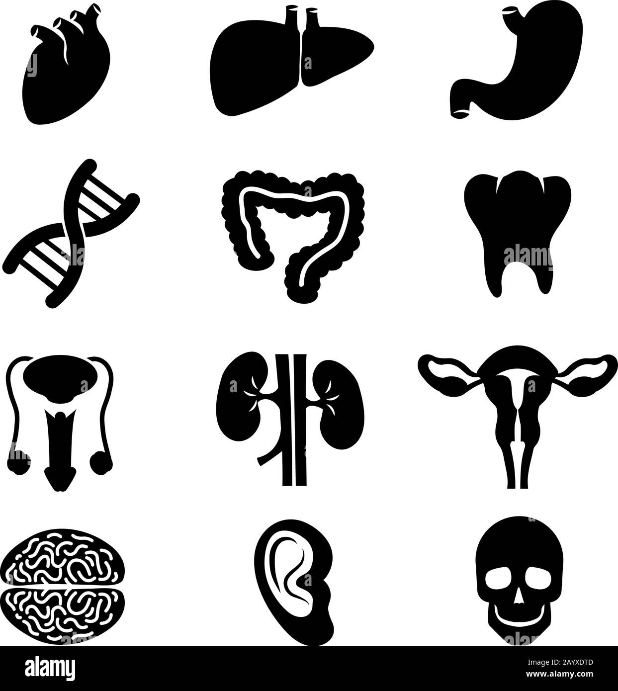 Human organs vector black icons set. Brain organ human and health organ stomach kidney and heart illustration Stock Vector