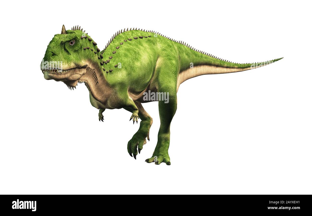 Majungasaurus was a carnivorous theropod dinosaur that lived in Cretaceous  era Madagascar. A cousin species to carnotaurus, it had a horn on its head  Stock Photo - Alamy