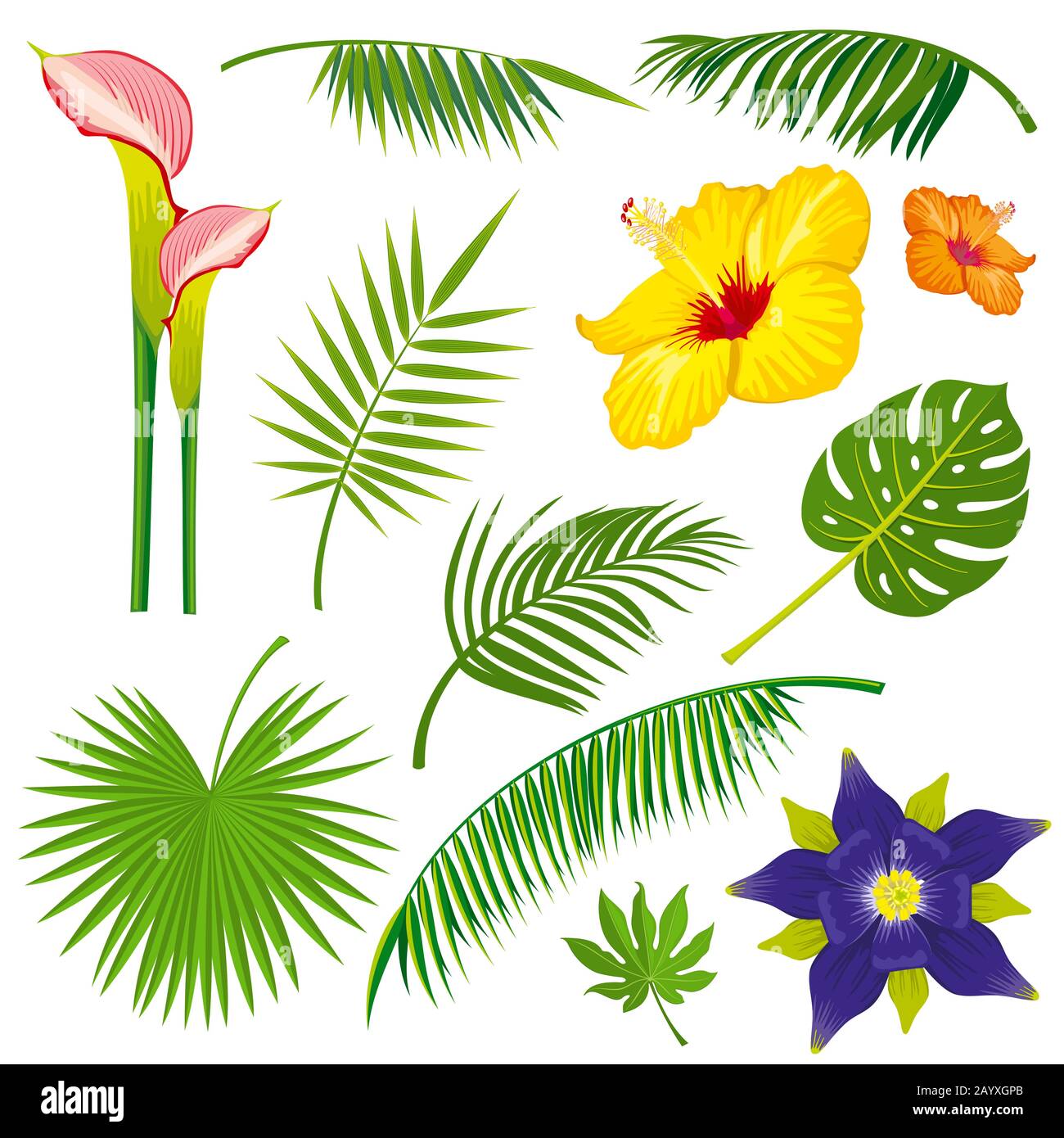 Tropical jungle leaves and flowers vector set. Flower tropical nature in jungle, plant flower summer illustration Stock Vector