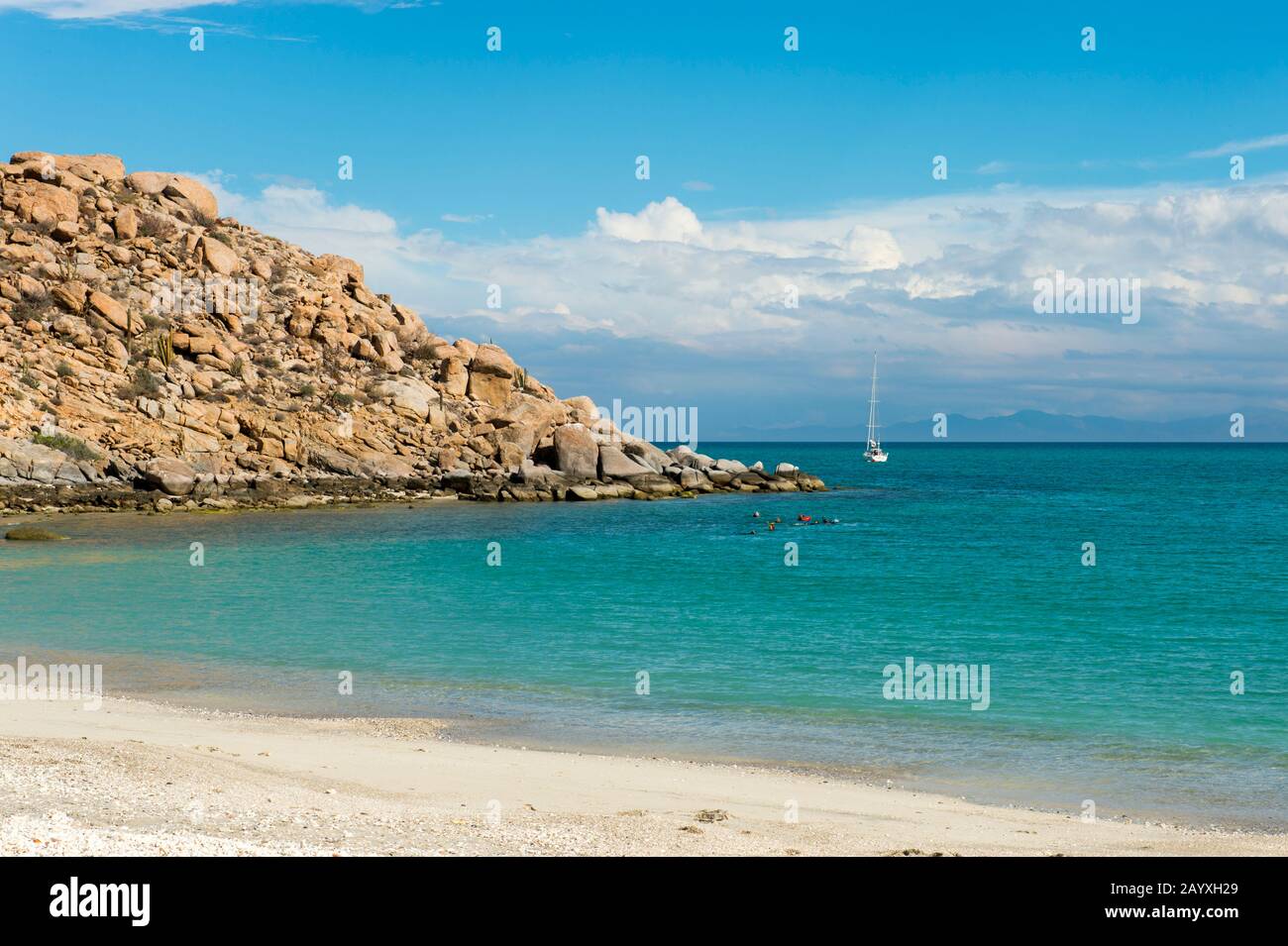 People snorkeling of a beach at the Isla Espiritu Santo in the Bahia de