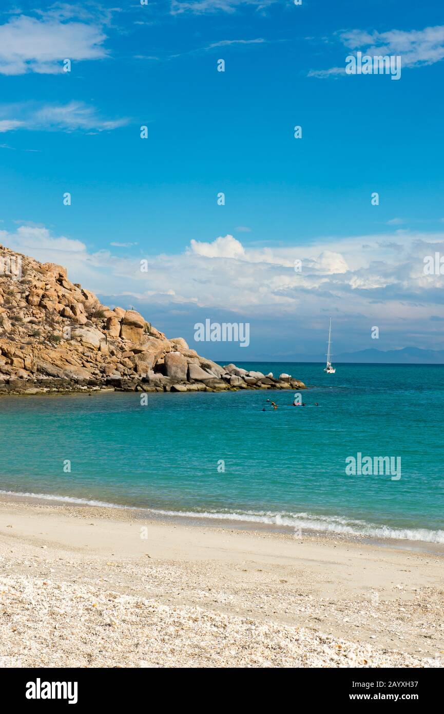 People snorkeling of a beach at the Isla Espiritu Santo in the Bahia de