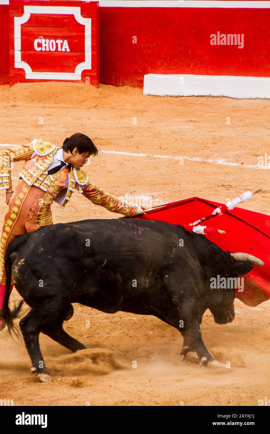 Bullfighting Stock Photo