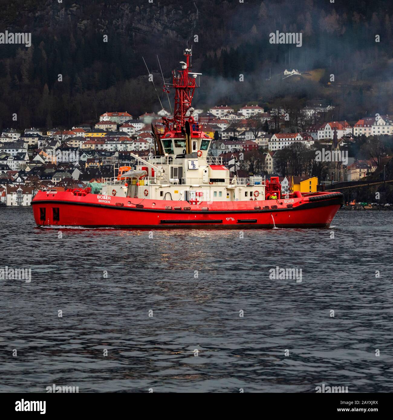 Tug boat Boxer at Byfjorden, outside port of Bergen, Norway. Assisting a departing vessel Stock Photo