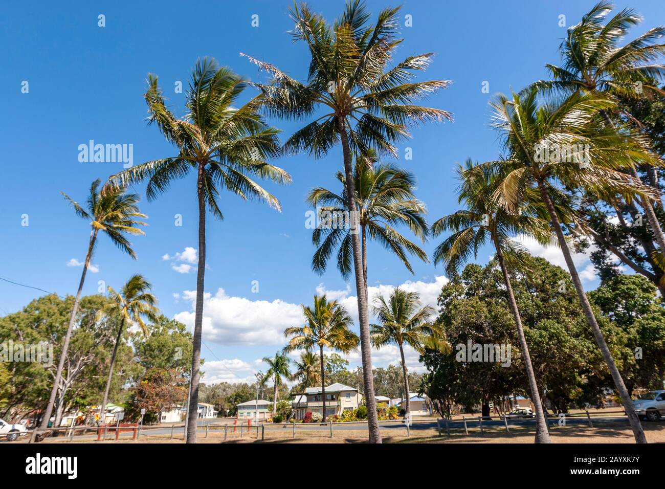 Palm tress and bungalows from Seaforth Beach, Seaforth , Queensland, Australia Stock Photo