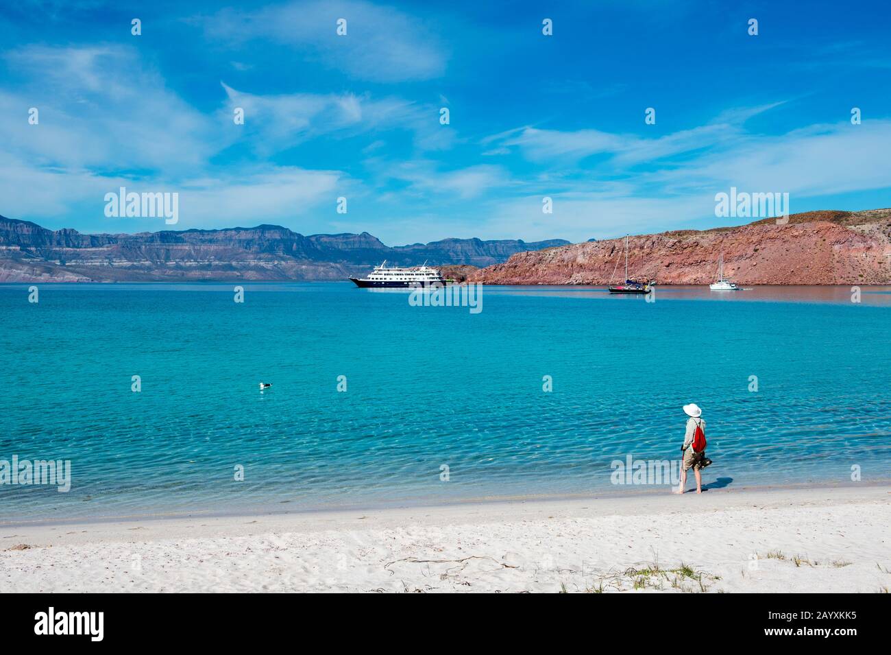 Woman (Model Release 20020923-10) on beach with cruise ship Safari Endeavour in background at San Francisco Island in the Sea of Cortez in Baja Califo Stock Photo