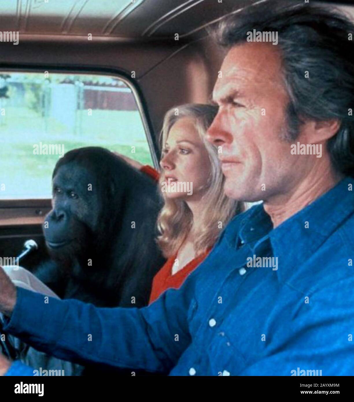 Any Which Way You Can 1980 Warner Bros Film With Clint Eastwood And Sondra Locke Stock Photo Alamy