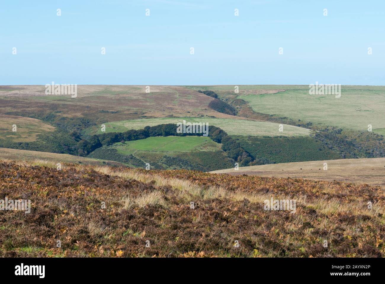 view across the Exmoor National Park, from high on Wilmersham Common below Great Rowbarrow looking westwards towards Nutscale. Stock Photo