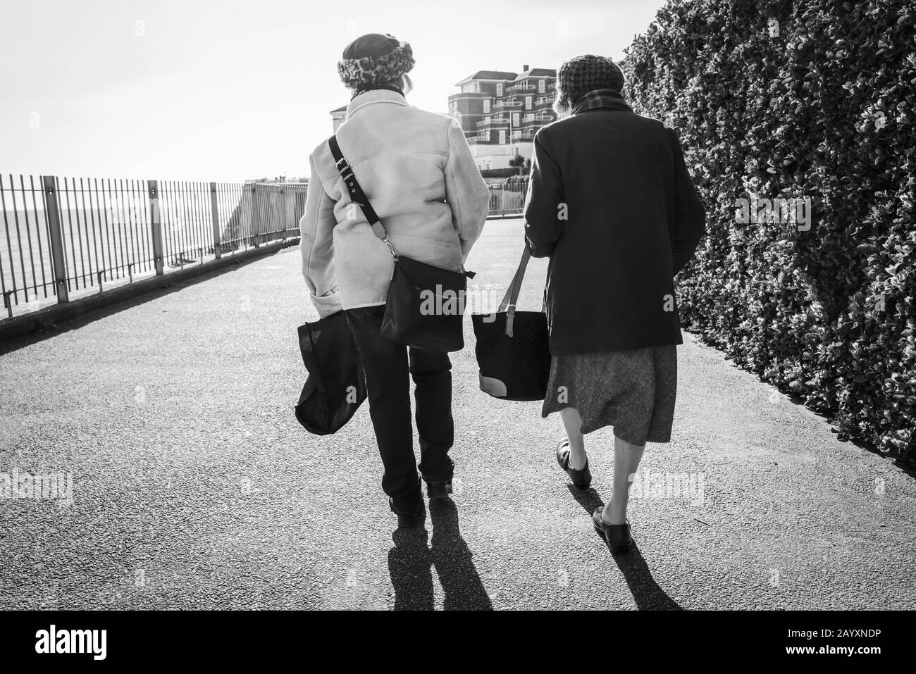 Two senior ladies walk along a cliff top promenade into the sunshine, in winter, chatting. They are seen from behind. There is some lens flare. The im Stock Photo