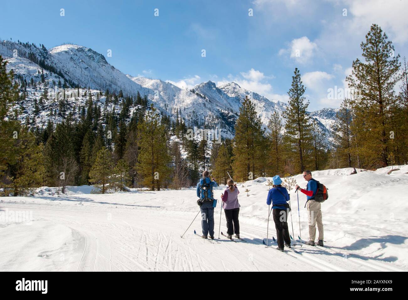 People cross country skiing on the Icicle River trail in Leavenworth
