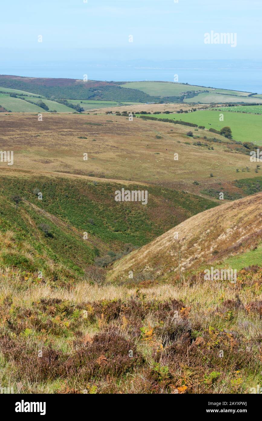 view across the Exmoor National Park, from high on Wilmersham Common below Great Rowbarrow looking westwards towards Nutscale. Stock Photo