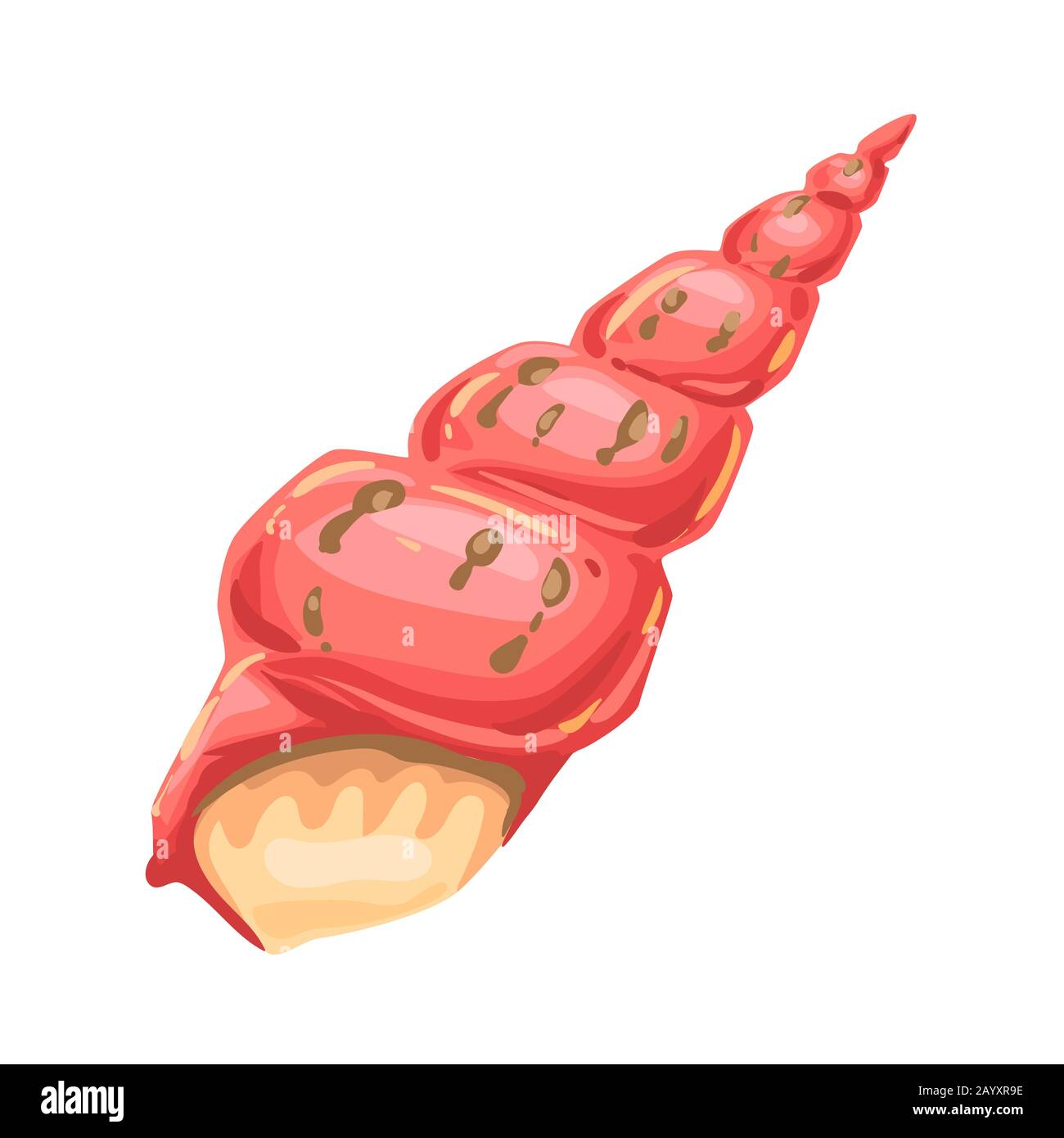 Illustration of seashell. Tropical underwater mollusk shell Stock ...