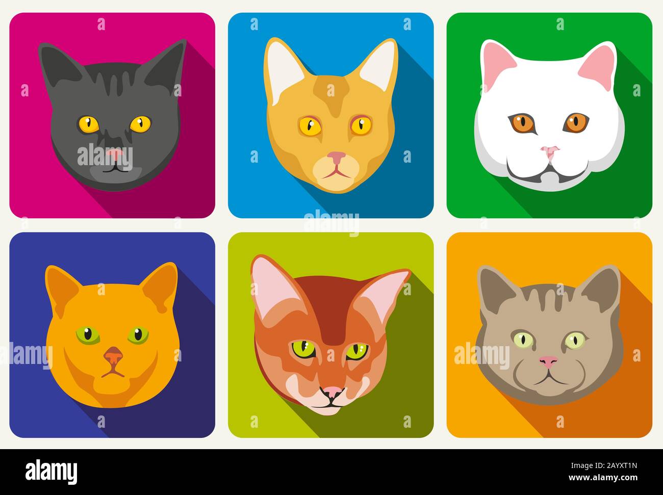 Cat portraits vector collection. Set of head cat and muzzle of cats with eyes and whisker illustration Stock Vector