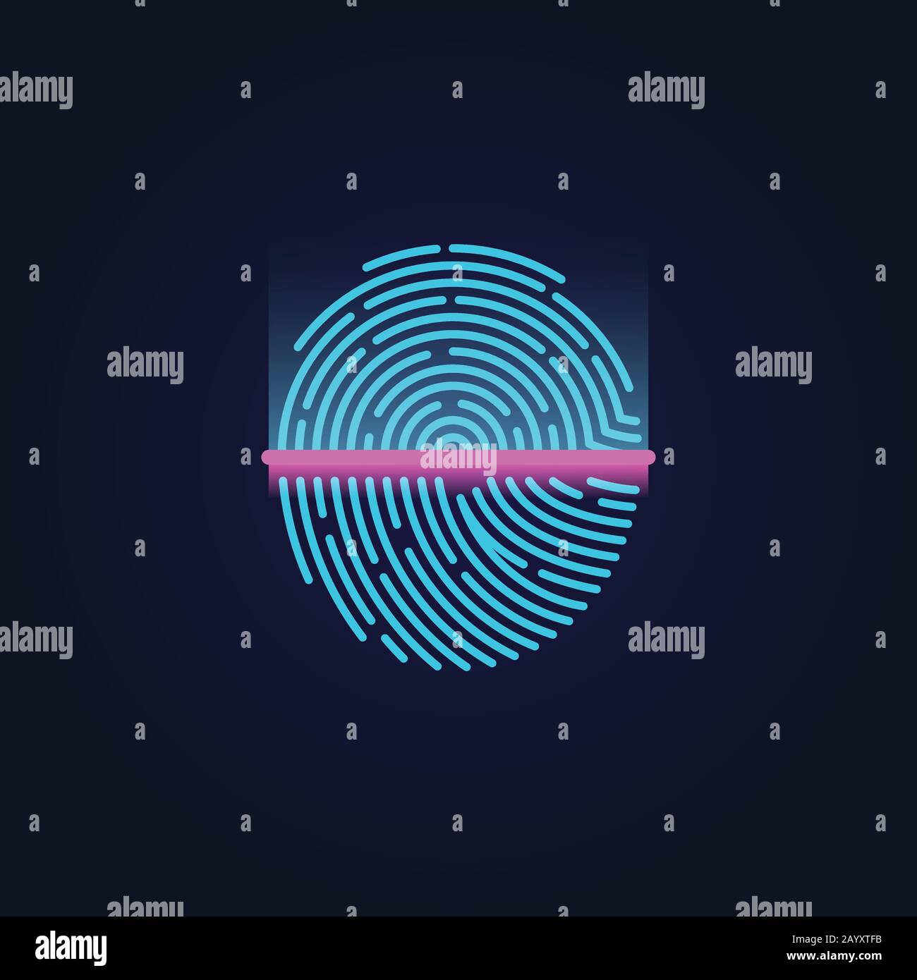Fingerprint electronic scanning, identification system vector