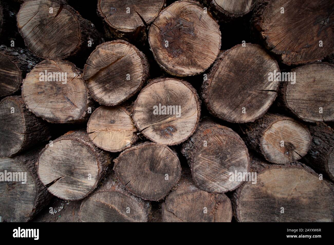 May 18, 2018; Val de Santa Maria, Zamora (Spain). Dry oak wood to heat the house in winter. Stock Photo