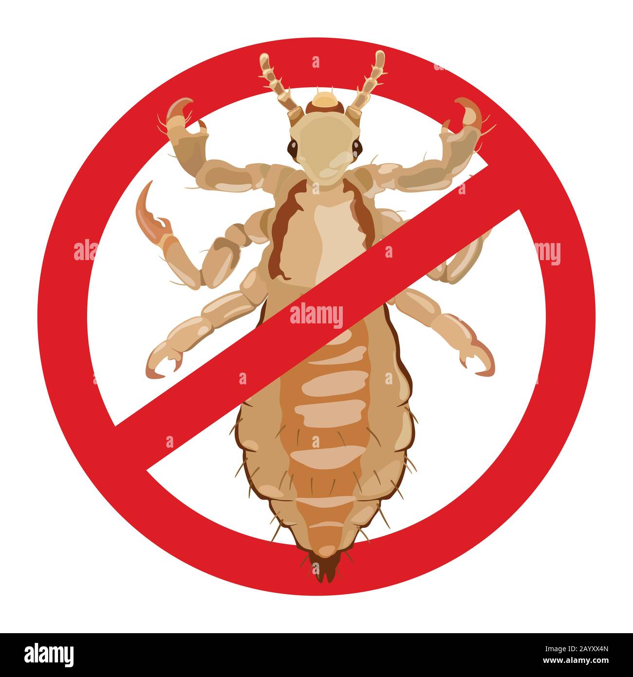 Warning louse. Sign of an insect dangerous to human health. Vector illustration. Stock Vector