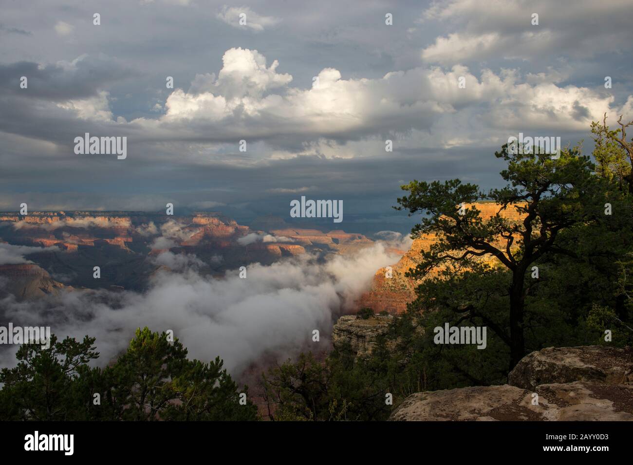 Mather Point Rim Trail View of the Grand Canyon from the rim trail between Yavapai Point and ...