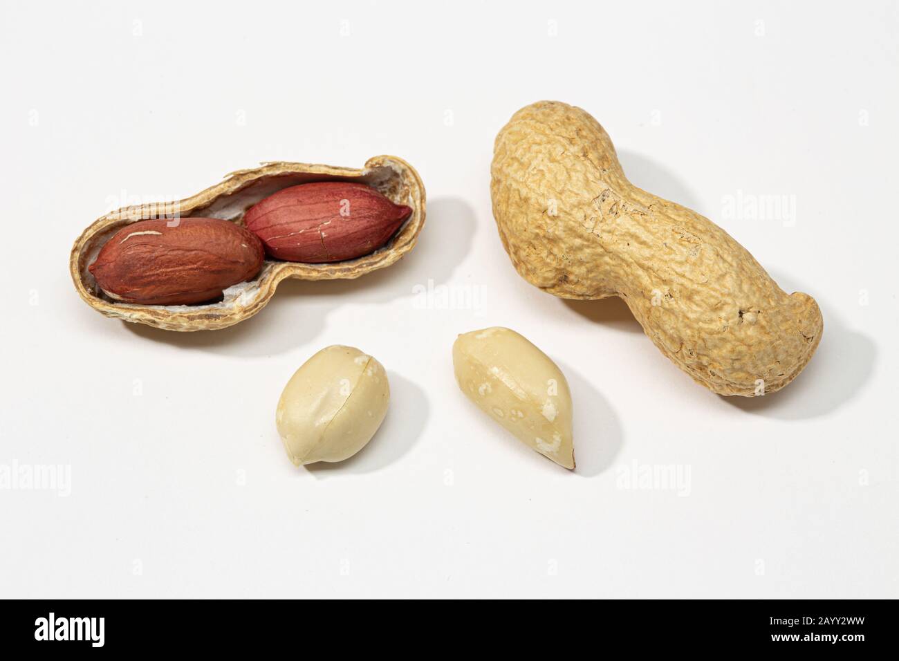 Dried peanuts isolated on white background. Arachis hypogaea Stock Photo