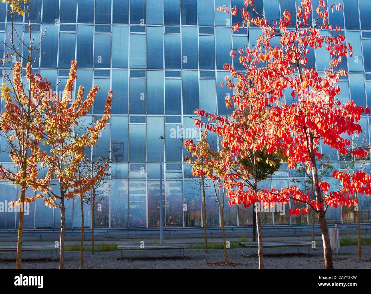 Architectural views of NeuOerlikon in Zurich, Switzerland Stock Photo