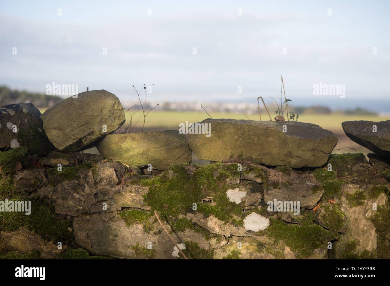 Moss covered stone wall with a view of St Andrews in the distance, St Andrews, Fife, Scotland. Stock Photo