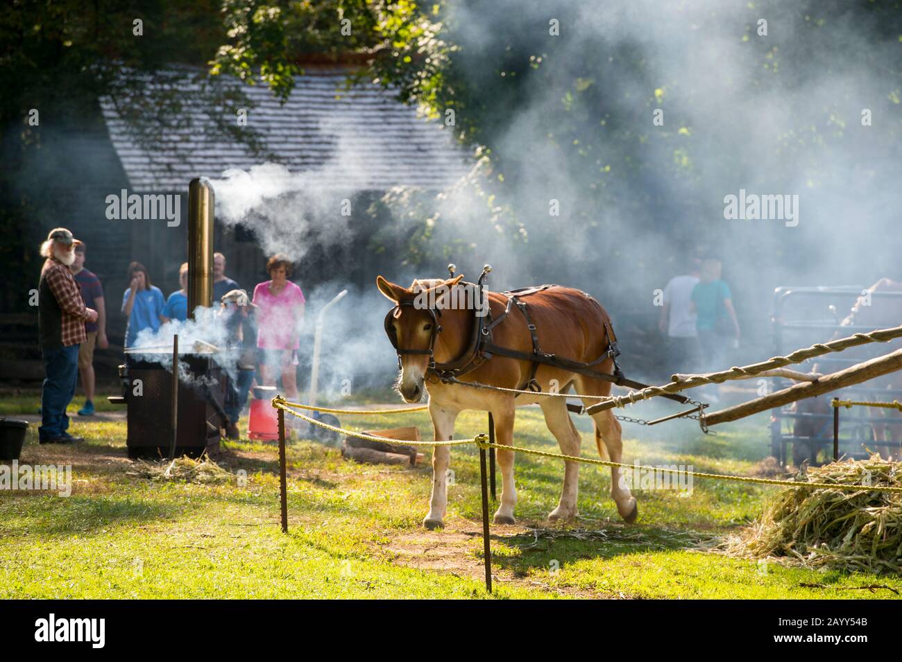Historic reenactment at the John P. Cable Grist Mill in Cades Cove, Great Smoky Mountains National Park in Tennessee, USA. Stock Photo