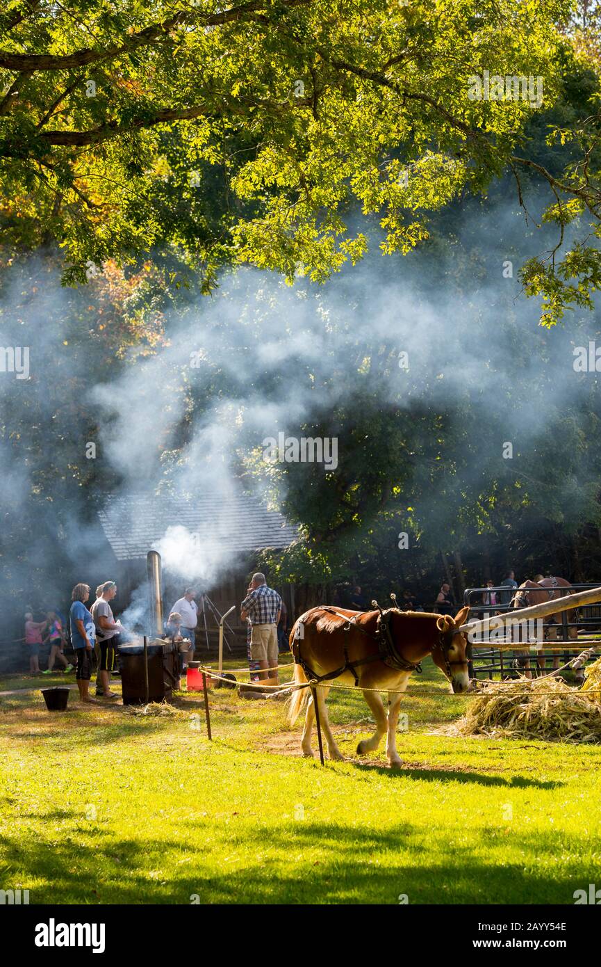 Historic reenactment at the John P. Cable Grist Mill in Cades Cove, Great Smoky Mountains National Park in Tennessee, USA. Stock Photo