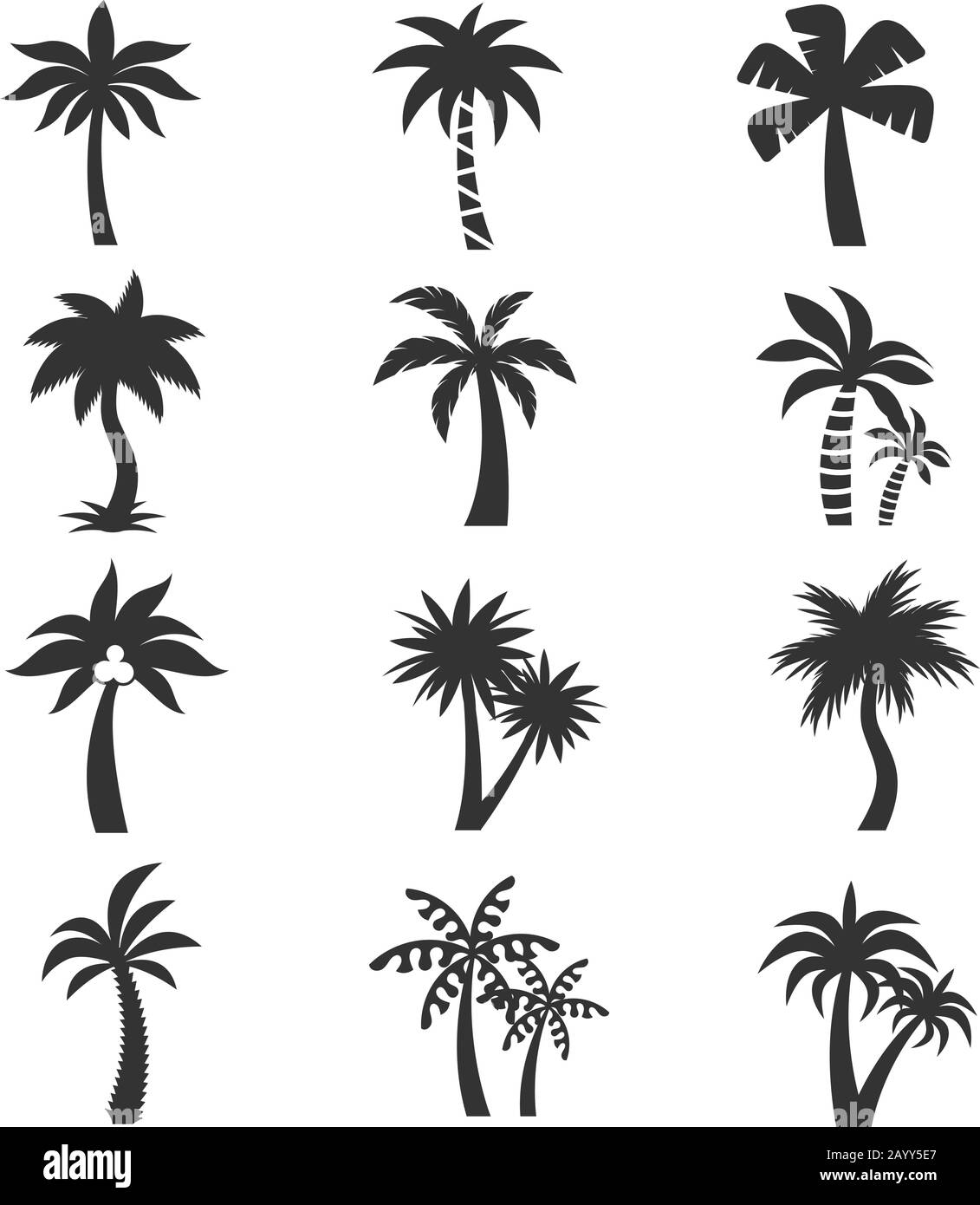 Tropical palm tree silhouettes on the white background. Set of exotic tropical plant with big leaves. Vector illustration Stock Vector
