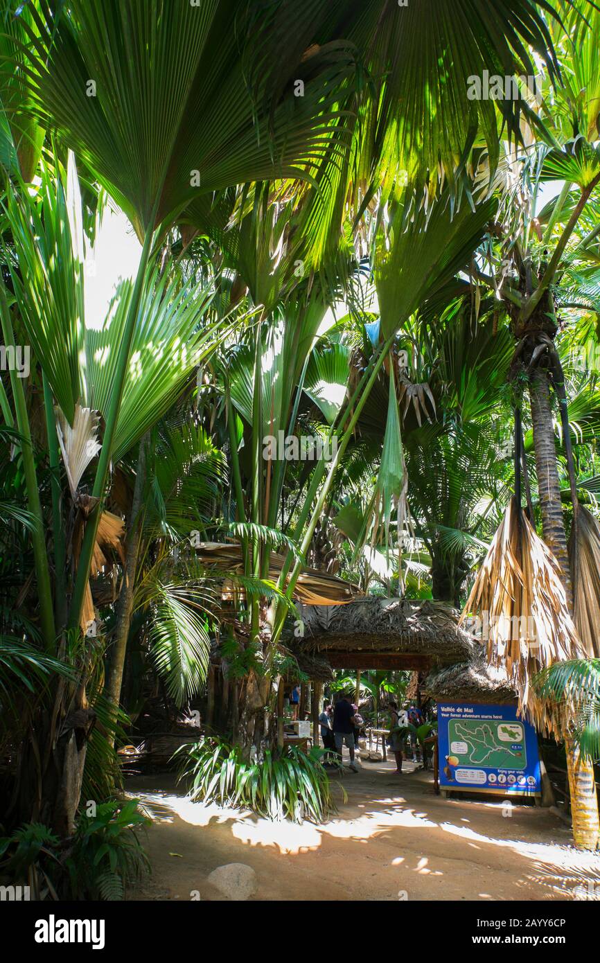 Entrance to the World Heritage Vallee de Mai in Praslin National Park, a wonderland of palmtrees on Praslin Island, Seychelles Stock Photo